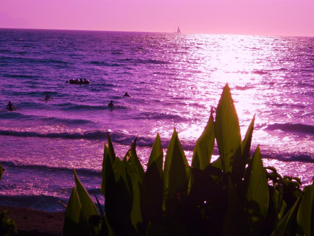 Kibar Apart Pansiyon Kuşadası Dış mekan fotoğraf
